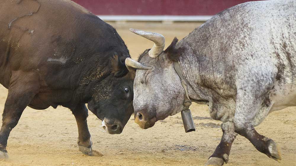 Yield Inversion Is Not Stomping Out A Bull Market Yet